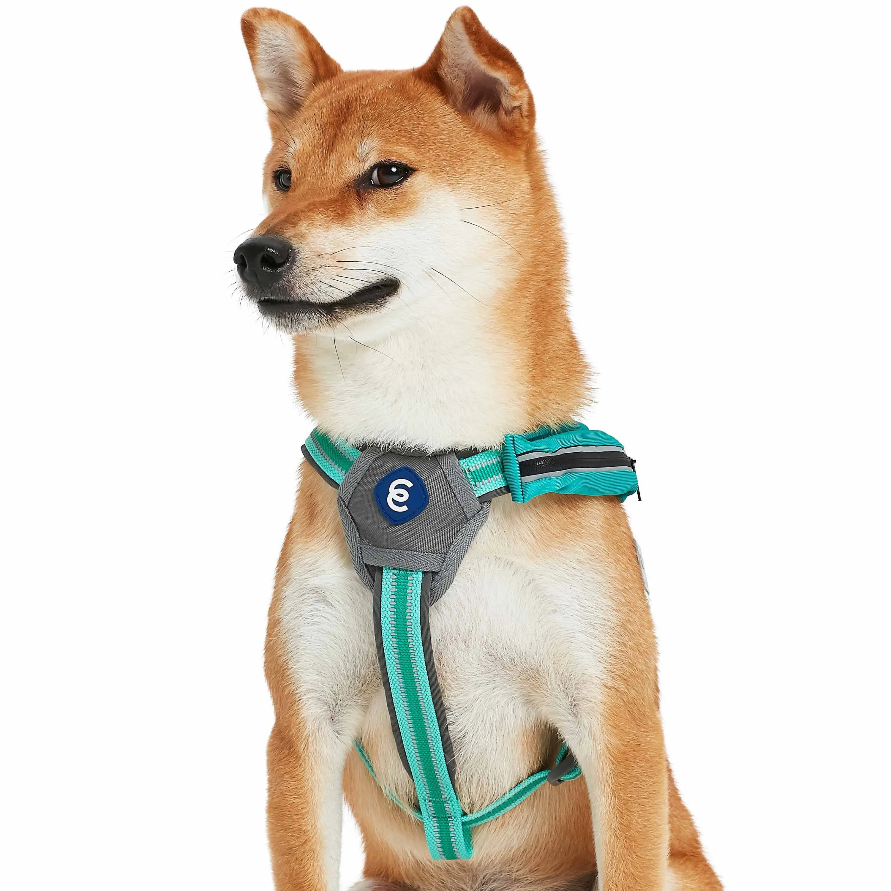 Back to Basics Reflective Dog Harness with Treat Pocket