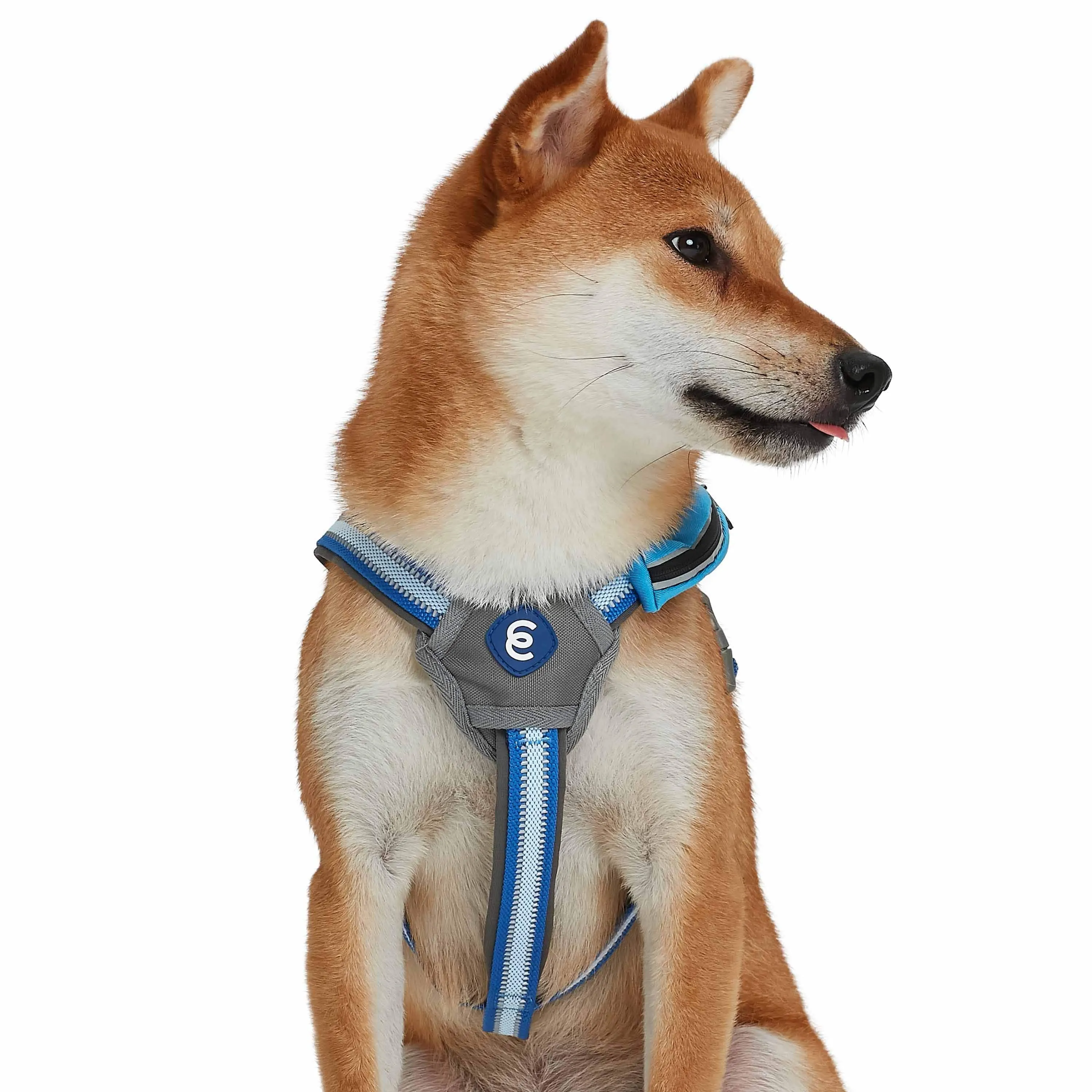Back to Basics Reflective Dog Harness with Treat Pocket
