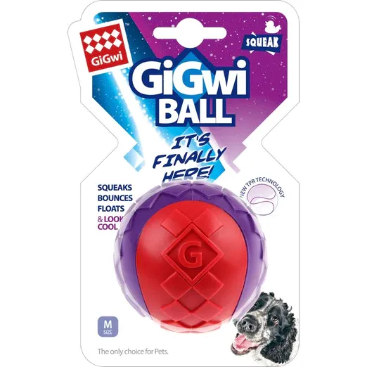 Ball With Squeaker Solid Dog Toy