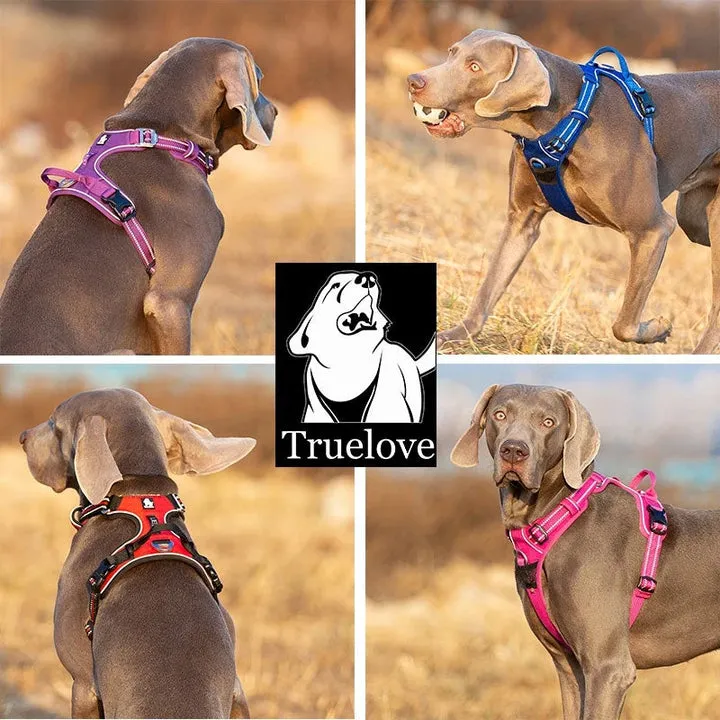 Breathable No Pull Dog Harness, Reflective, Size M