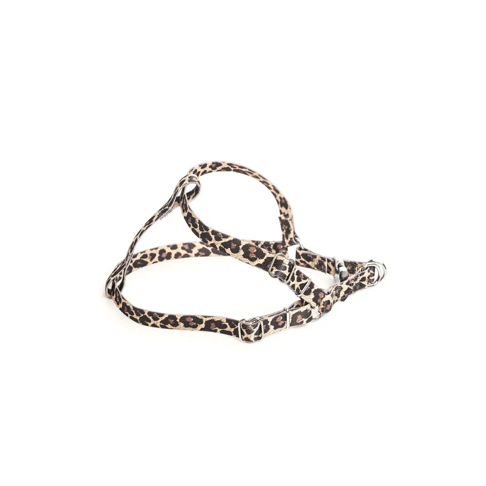 Bronte Harness