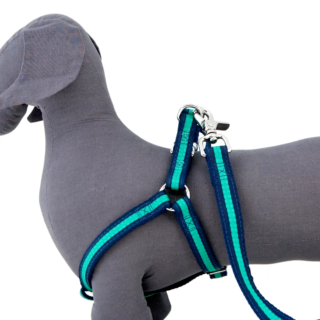 Bronte Harness