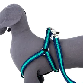 Bronte Harness
