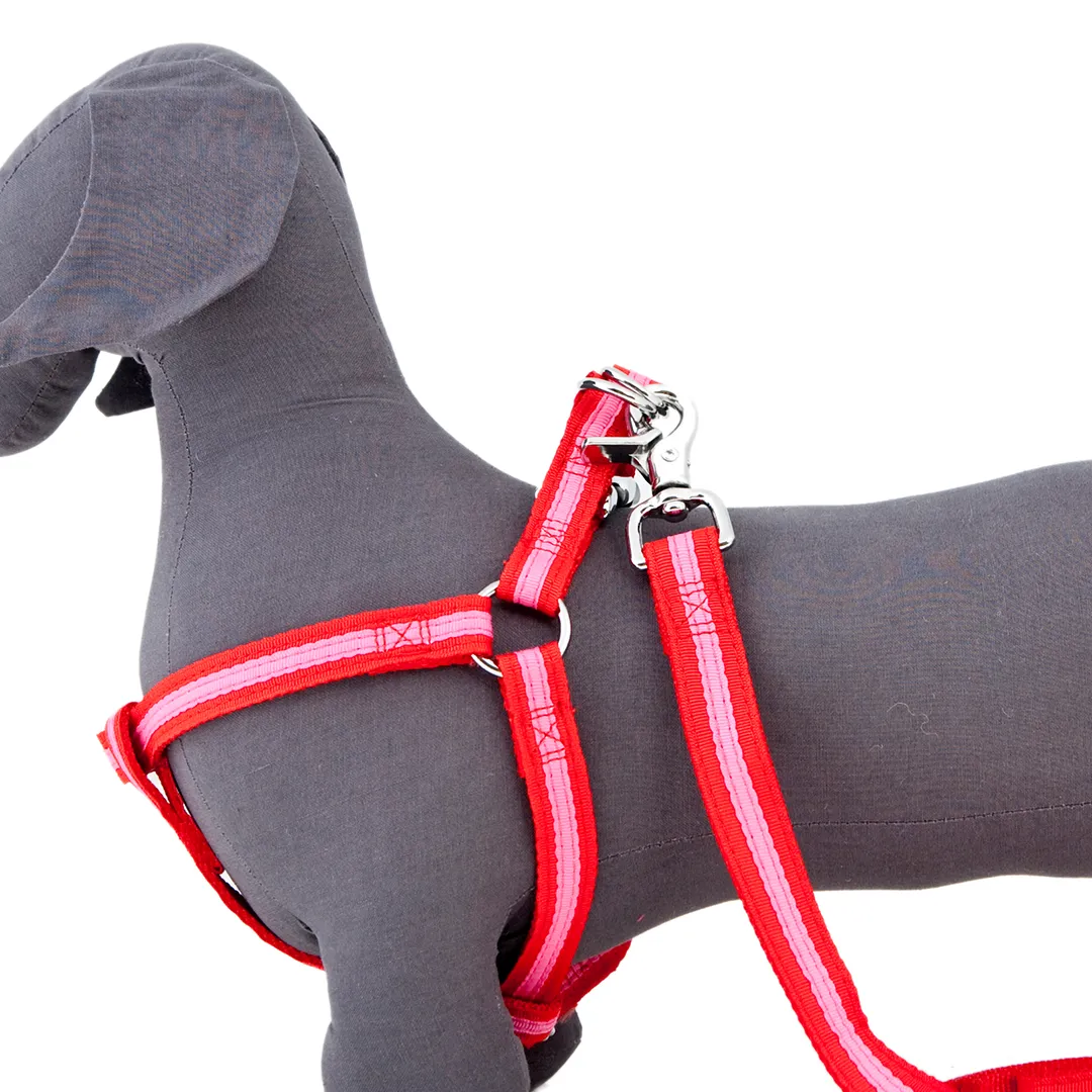 Bronte Harness