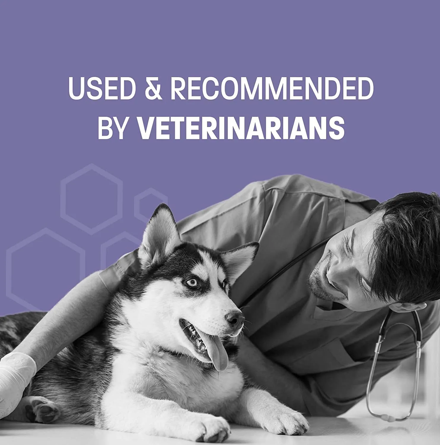 Cat & Dog Ear Cleaner Pro