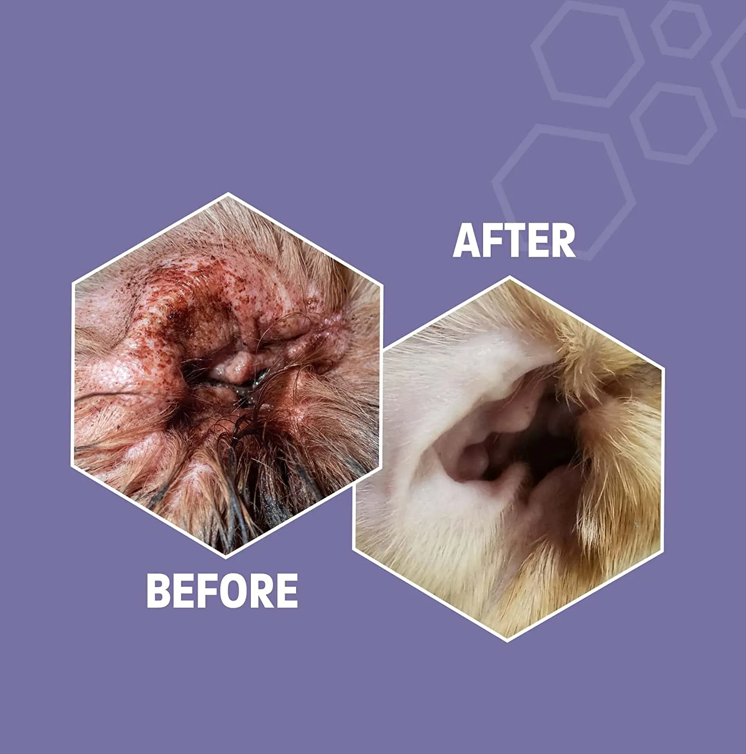 Cat & Dog Ear Cleaner Pro