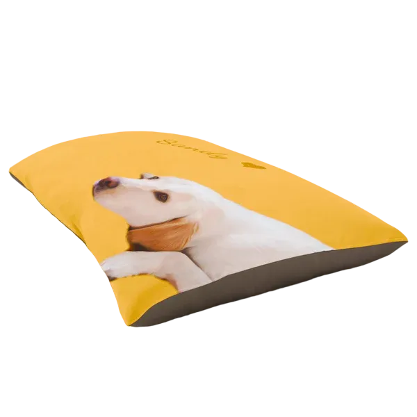 Custom Pet Beds for Dogs and Cats