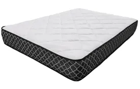 Doctor Firm Orthopedic Mattress Two-Sided