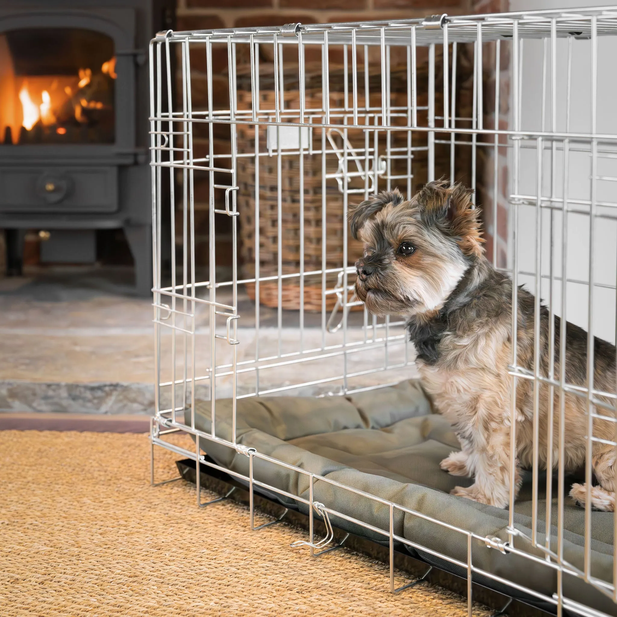 Dog Crate Mat in Forest by Lords & Labradors