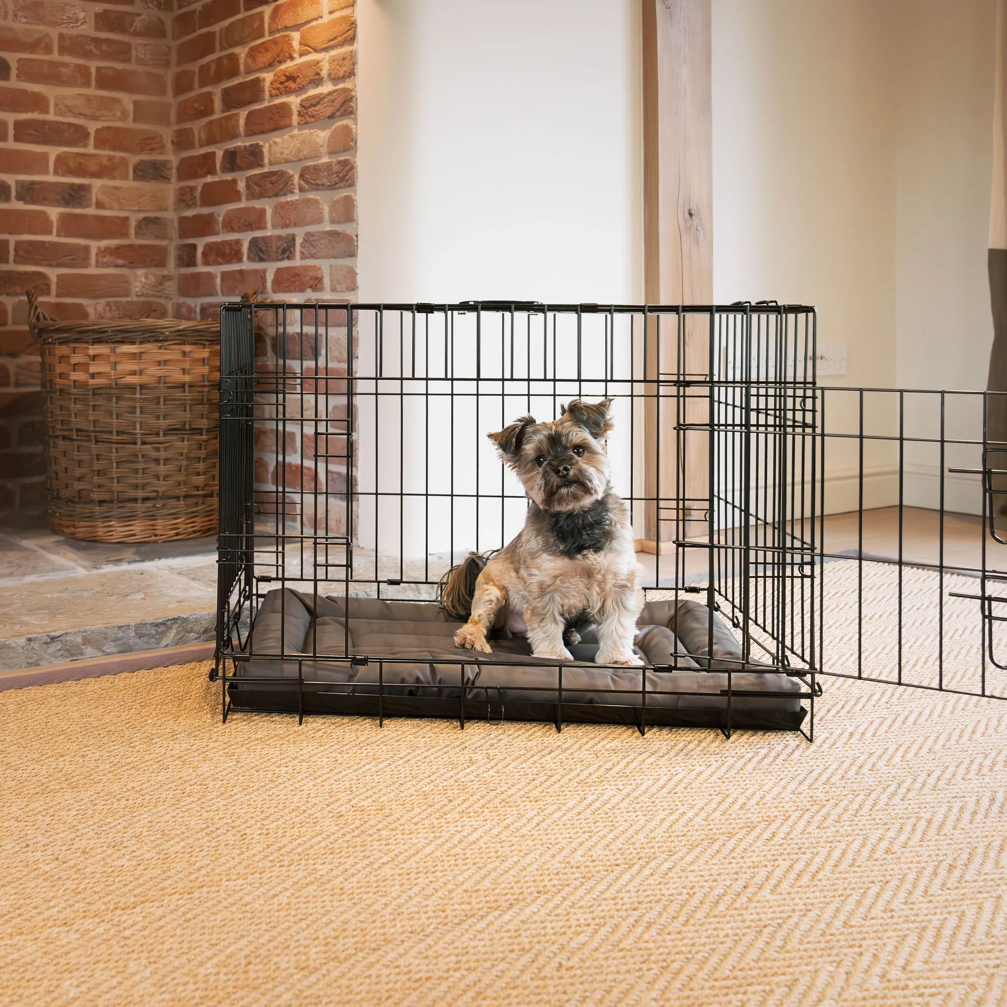 Dog Crate Mat in Fresh Earth by Lords & Labradors