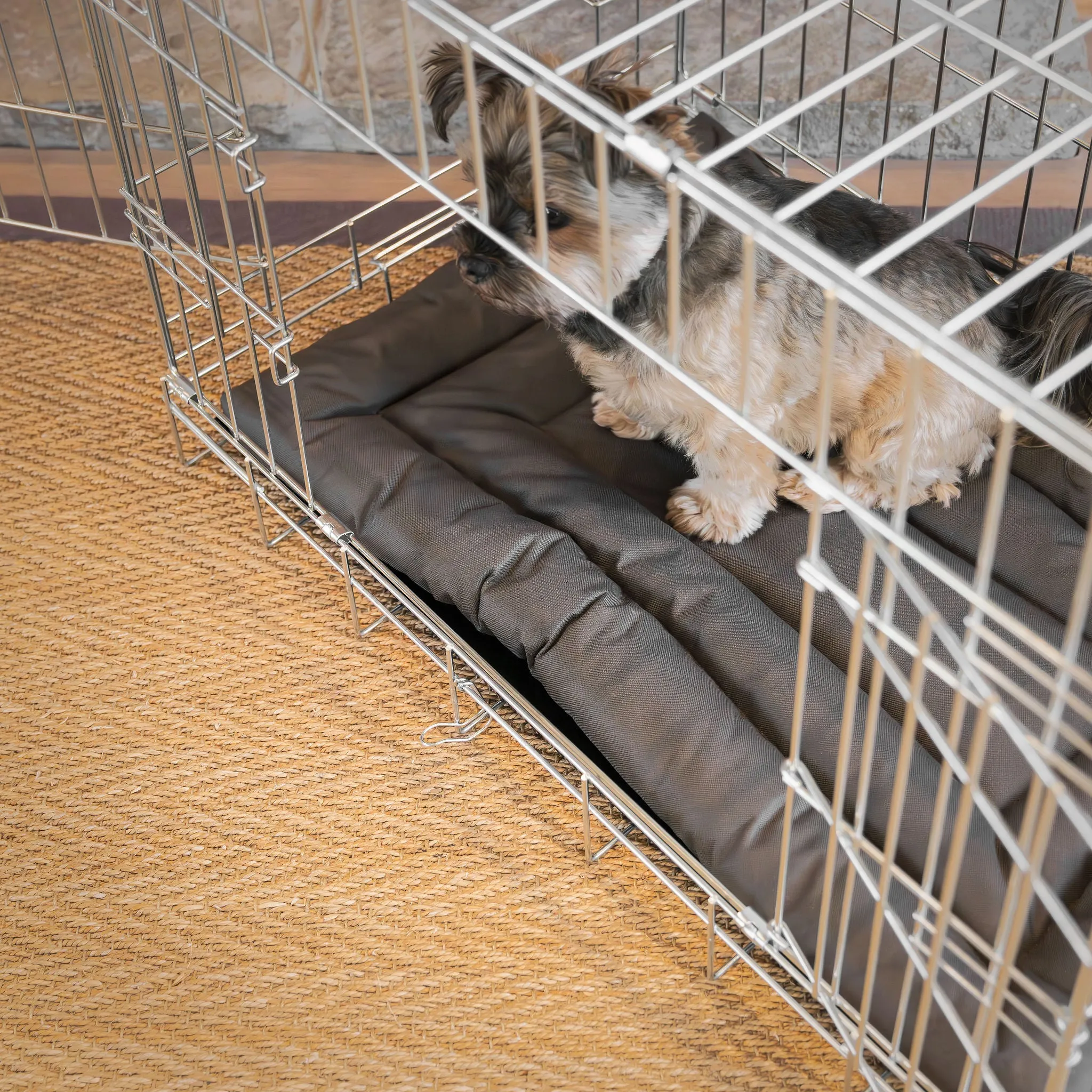Dog Crate Mat in Fresh Earth by Lords & Labradors