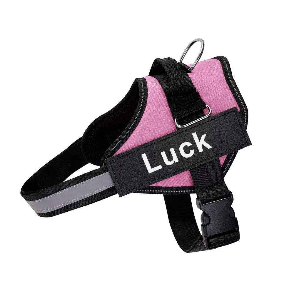 Fangshion Personalized Dog Harness