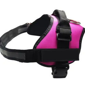 Fangshion Personalized Dog Harness