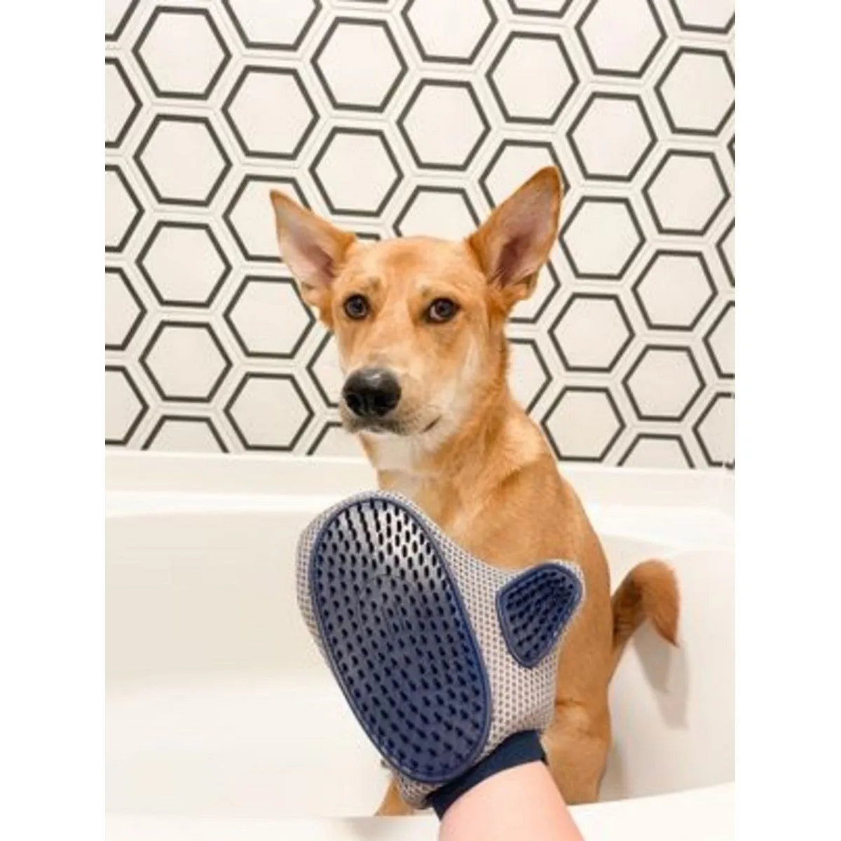 Four Paws Magic Coat Professional Series Love Glove Dog Grooming Mitt