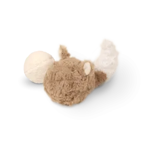 FOX POP