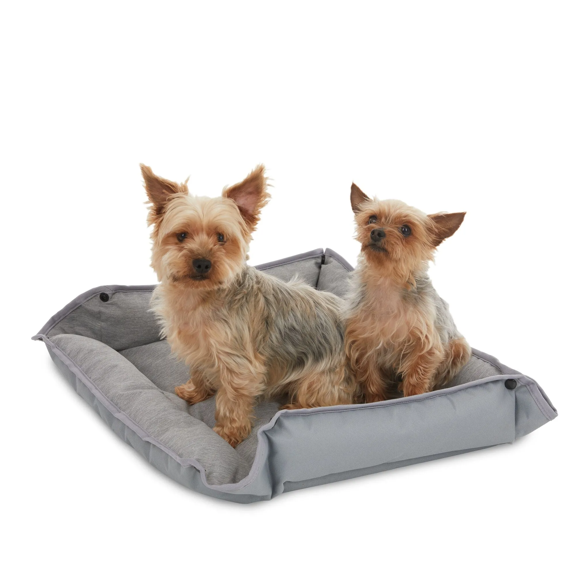 Grey Pet Premium Bed For Medium Dogs, 24 X 20 X 3-Inch