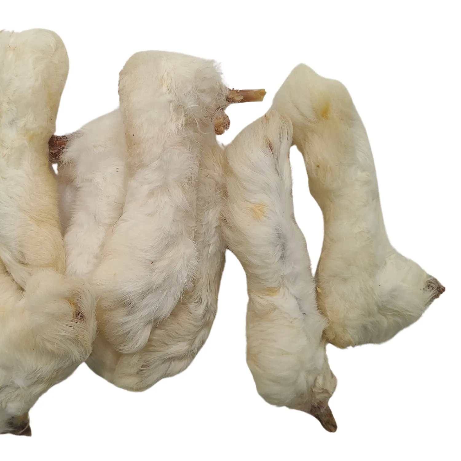 Hairy Rabbit Feet | Dog Treat | Chewy Snack by Natural Connection