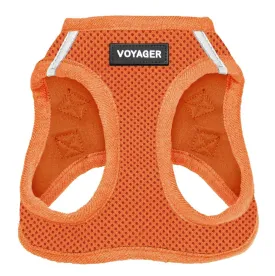 Halloween Step-In Air Pet Harness