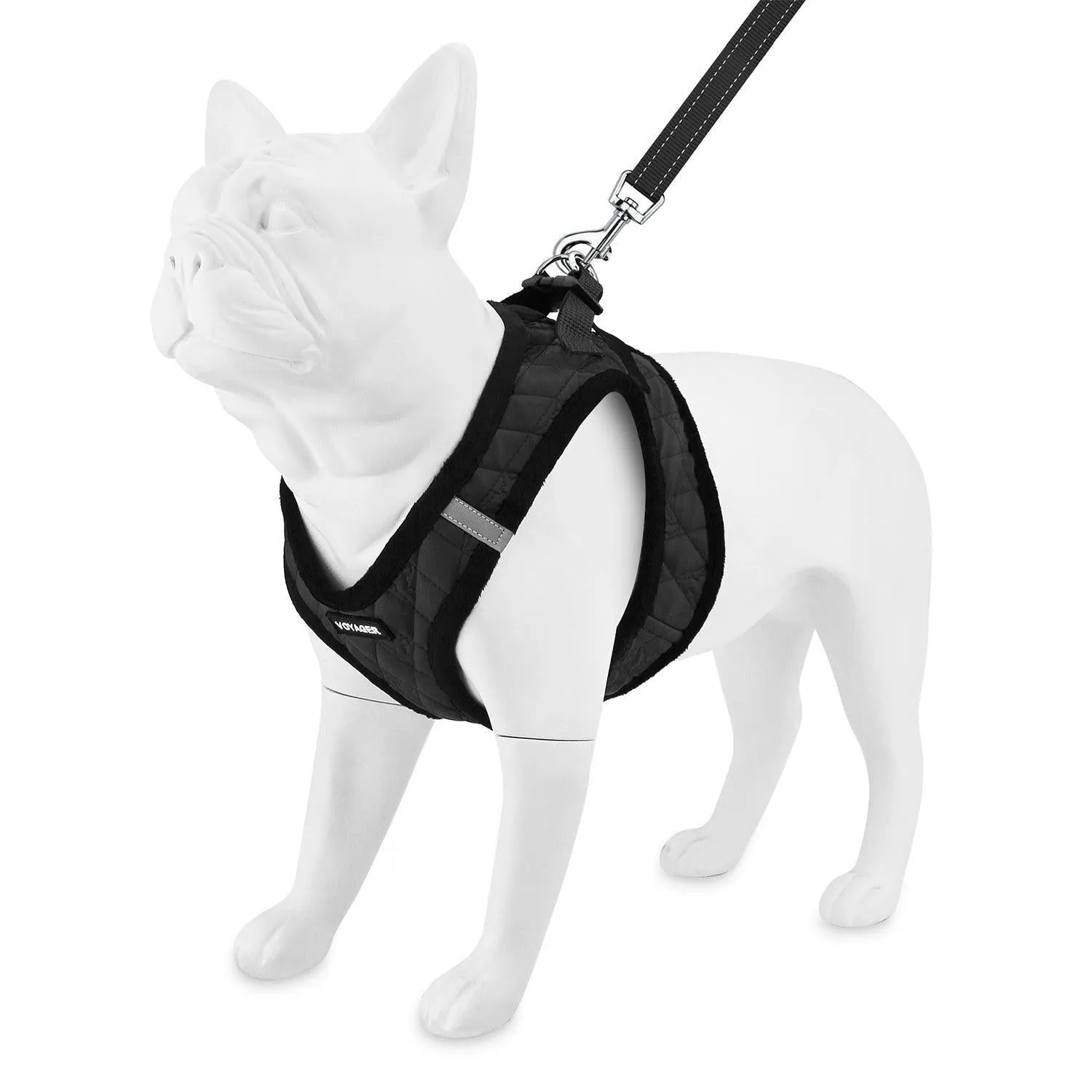 Halloween Step-In Plush Harness & Leash Set