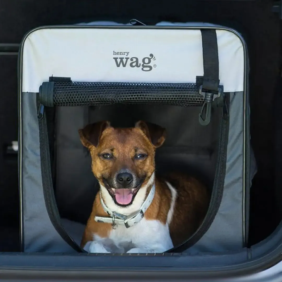 Henry Wag Folding Fabric Travel Pet Crate