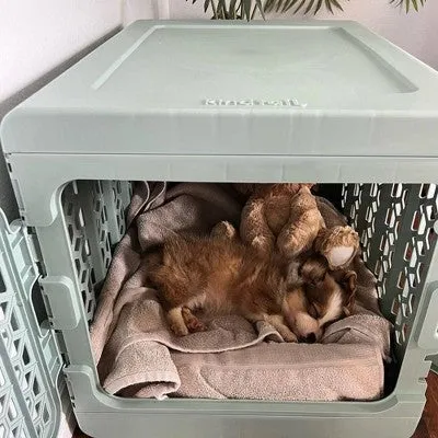 KindTail PAWD Cat and Dog Crate - M - Light Green