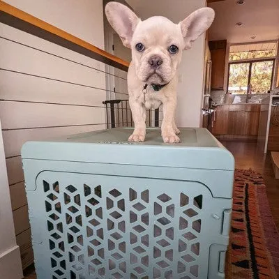 KindTail PAWD Cat and Dog Crate - M - Light Green
