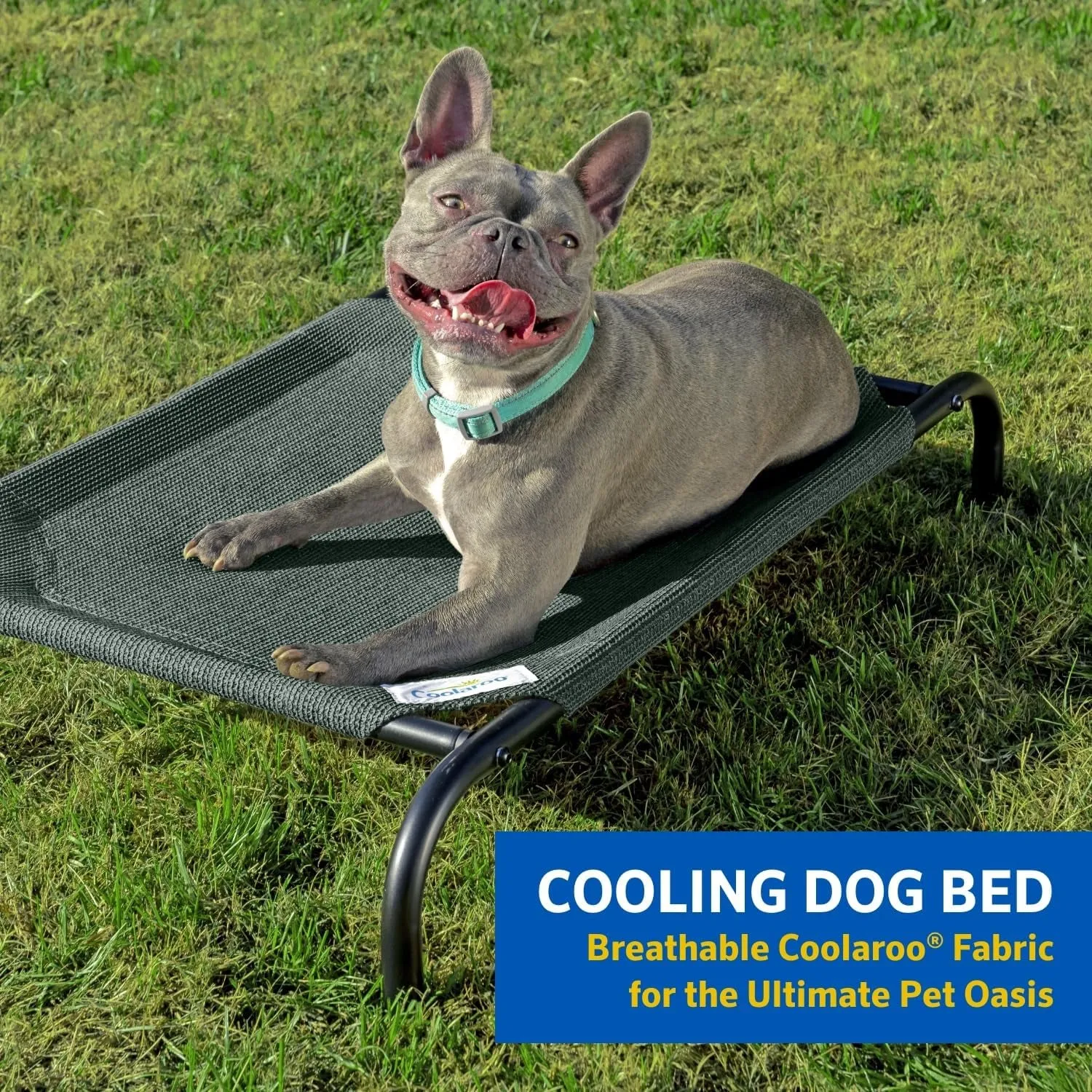 Original Cooling Dog Bed