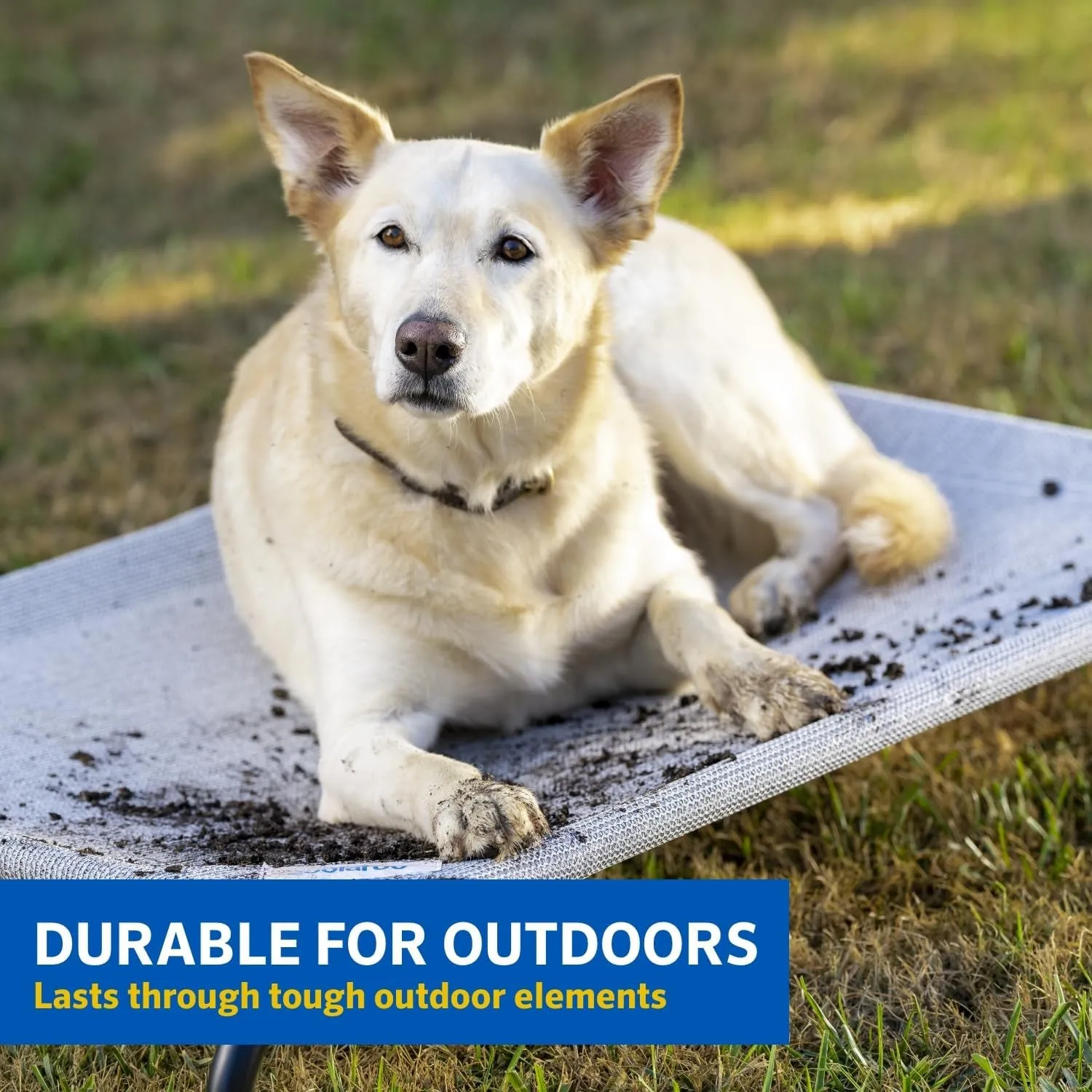 Original Cooling Dog Bed