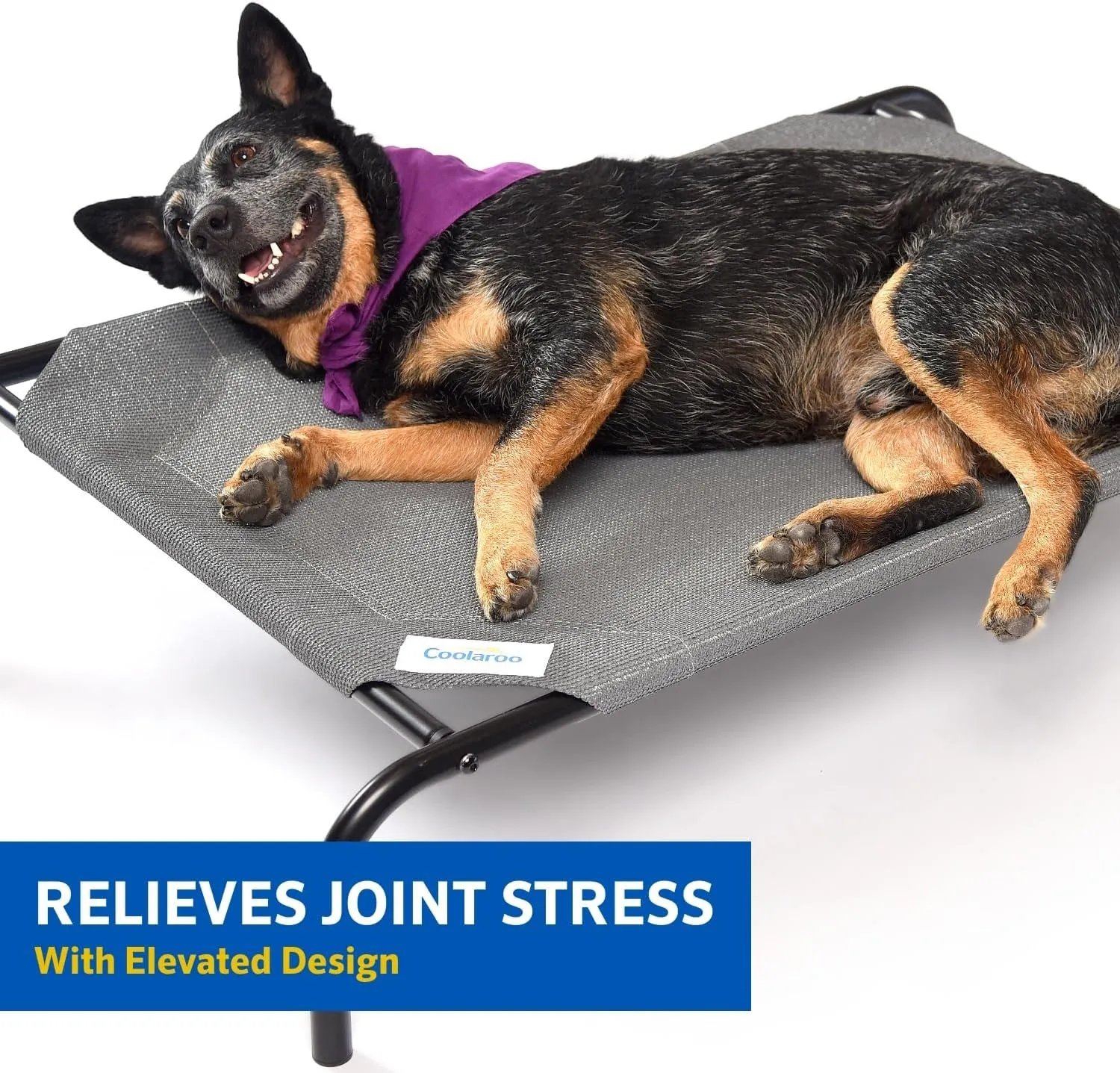 Original Cooling Dog Bed