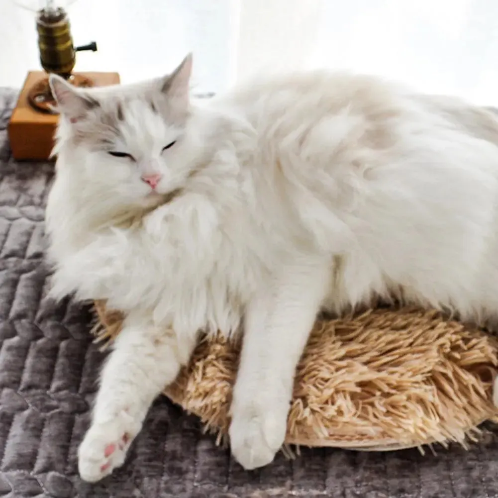 Pat and Pet Emporium | Pet Beds | Soft Heated Electric Pet Mat