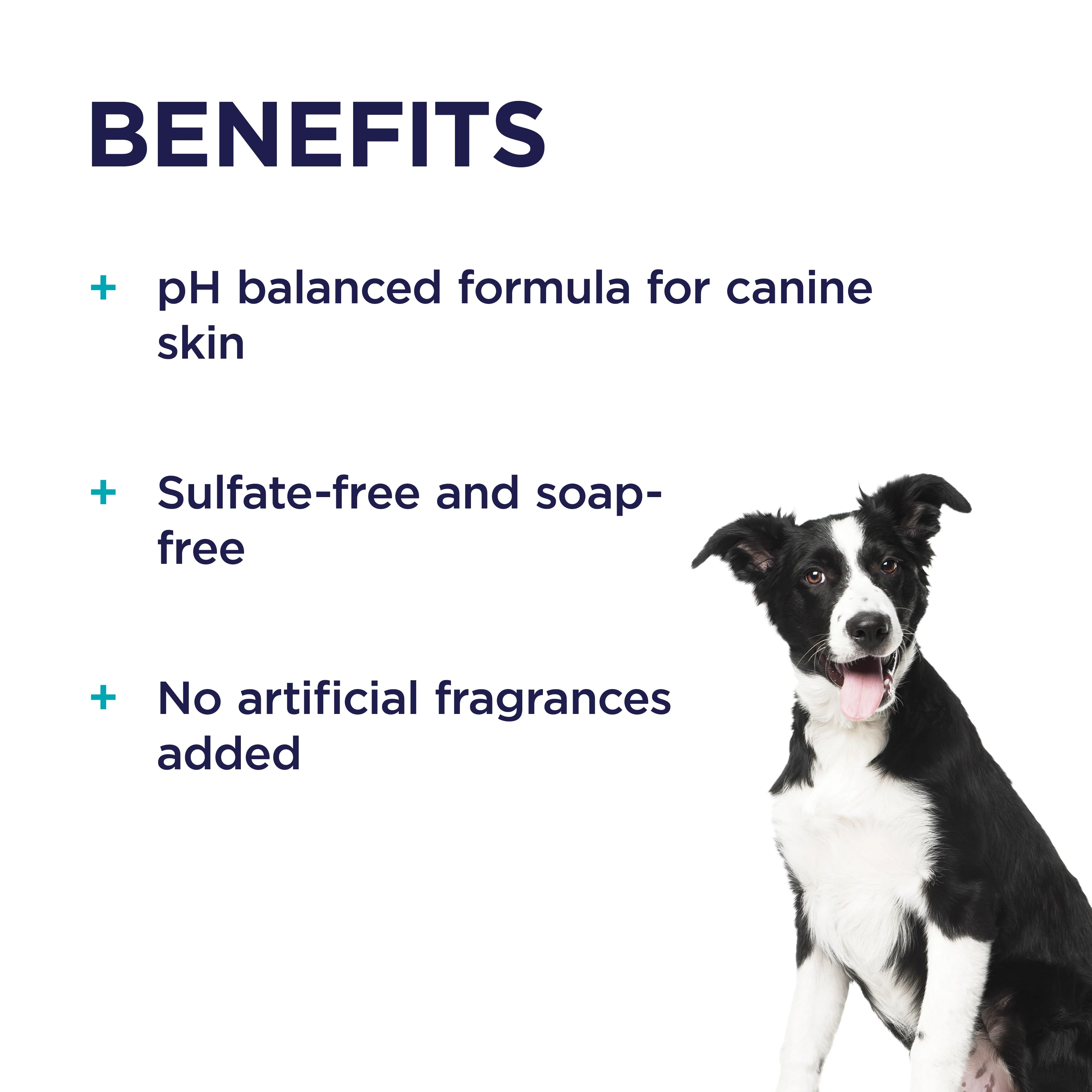 PAW Conditioning & Grooming Spray 200ml