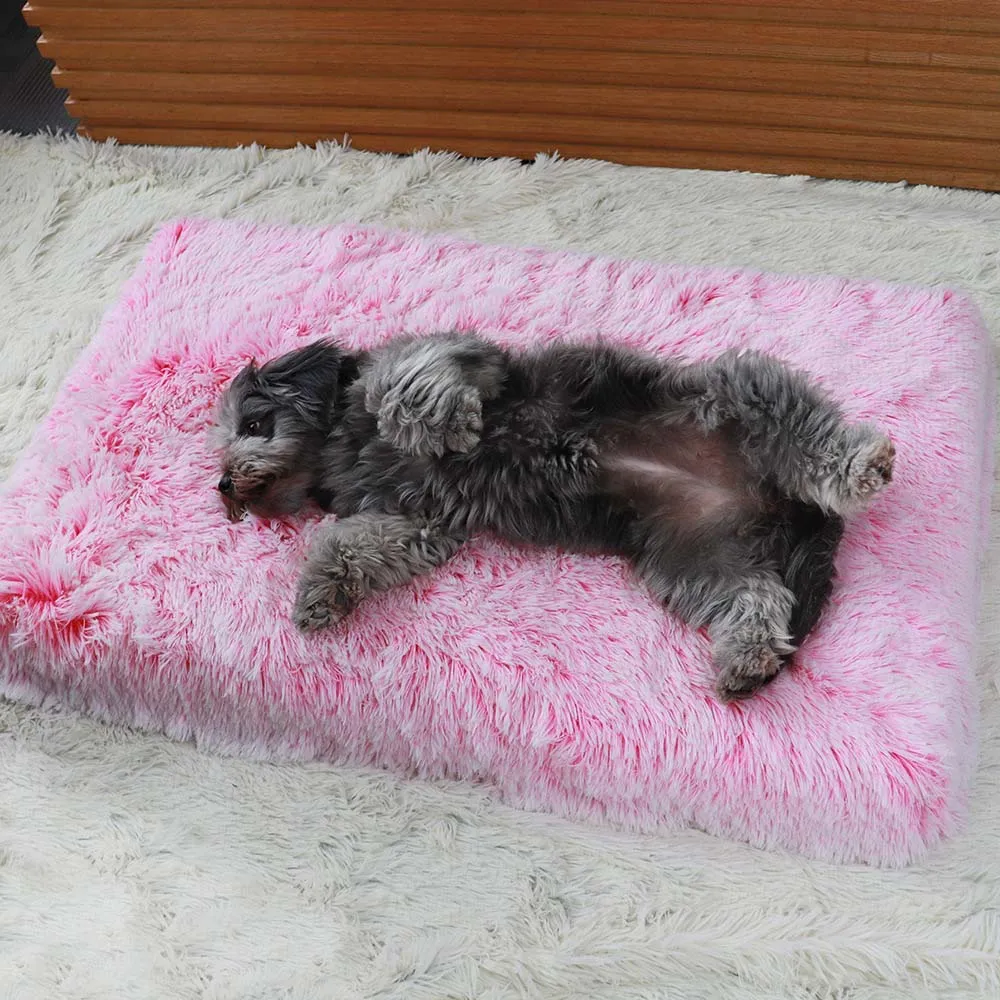 PAWS ASIA Amazon Hot Sale Modern Memory Foam Zipper Removable Super Soft Rectangle Cat And Dog Beds Cushion