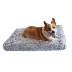PAWS ASIA Amazon Hot Sale Modern Memory Foam Zipper Removable Super Soft Rectangle Cat And Dog Beds Cushion