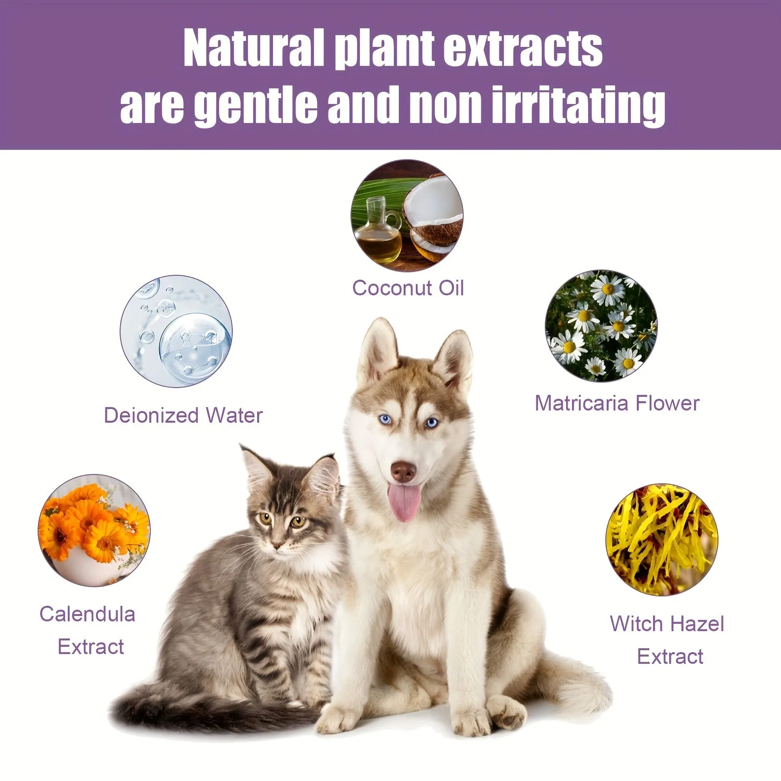 Pet Ear Wash Drops Effective Treatment for Ear Infections