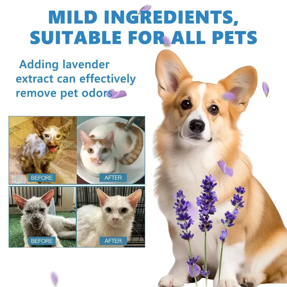 Pet Leave-in Essence,Pets Body Wash Removing Dirts Mites Cat Detangling Spray 20ml Wash Free Dematting Essence For Dogs