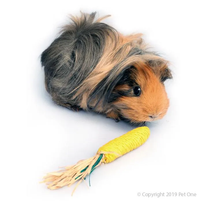 PO Veggie Rope Chew Corn