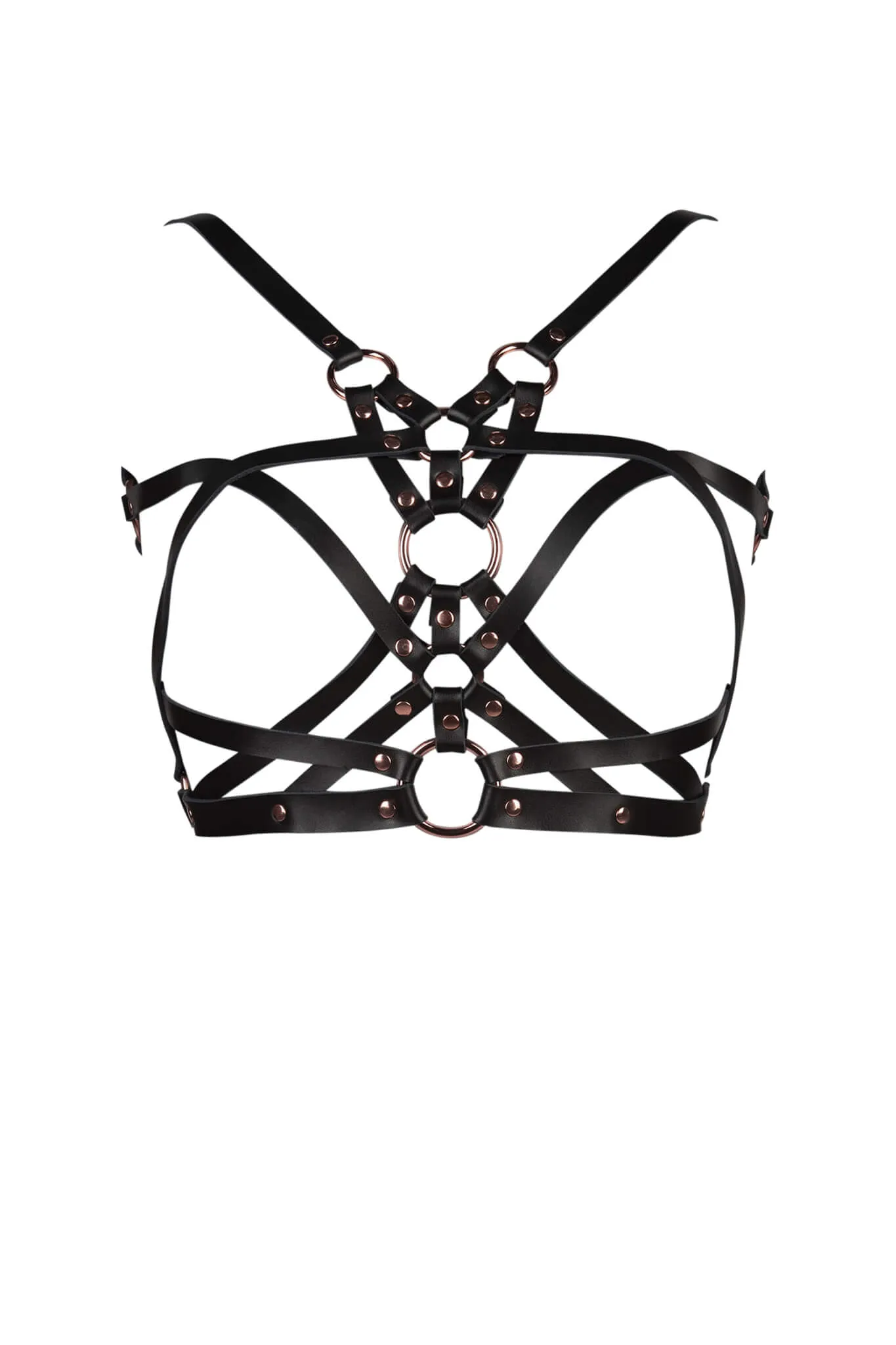 Seduction Rose Gold Leather Harness