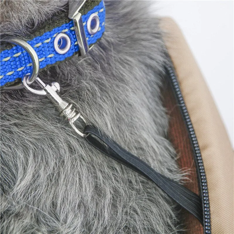 Small Dog Carrier Purse