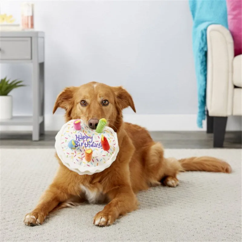 Squeaky Dog Toy - Birthday Cake