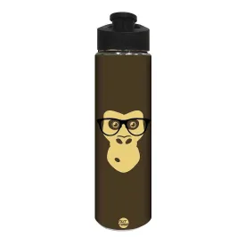 Stainless Steel Water Bottle -  Cute Monkey