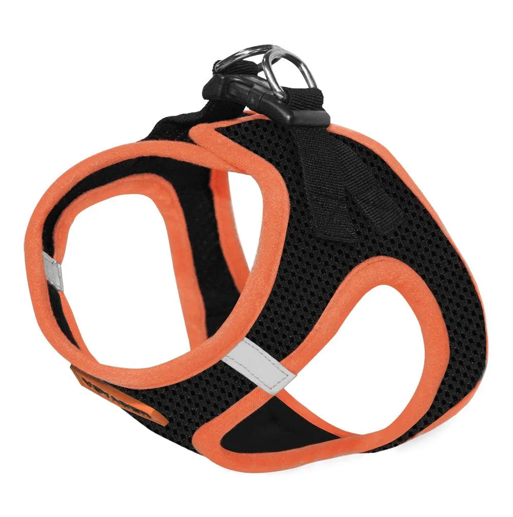 Step-In Air Pet Harness Black with Color Trim