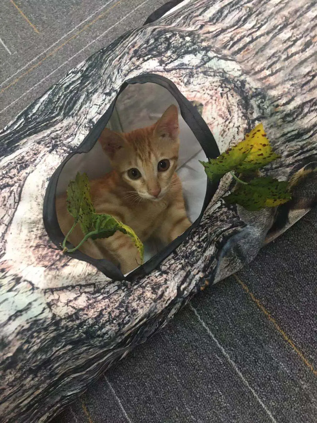 Tree Pattern Tunnel Pet Zhiyi Cat Toy