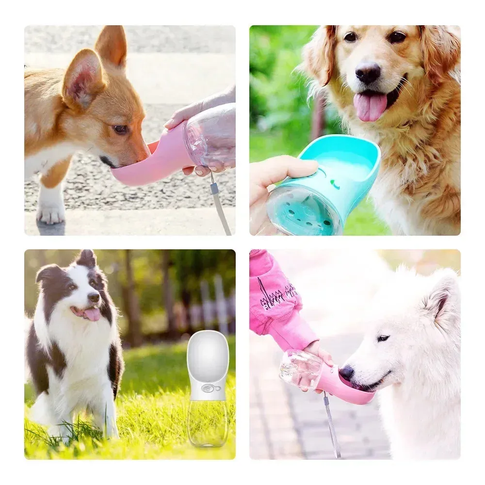 Trendy Outdoor Travel Water Bottle Drinking Bowl