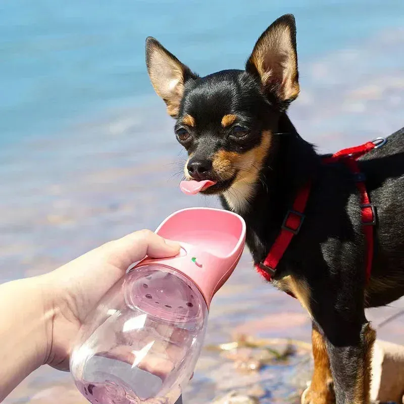 Trendy Outdoor Travel Water Bottle Drinking Bowl