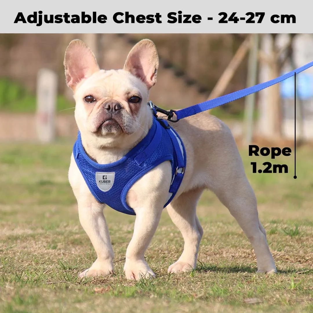 Urbane Home Reflective Dog Harness With Adjustable Leash|Breathable Polyester Mesh Fabric |XS Size|HT-844|Comfortable No-Pull Grip|Quick Release Buckles|Easy On - Easy Off Harness|Blue