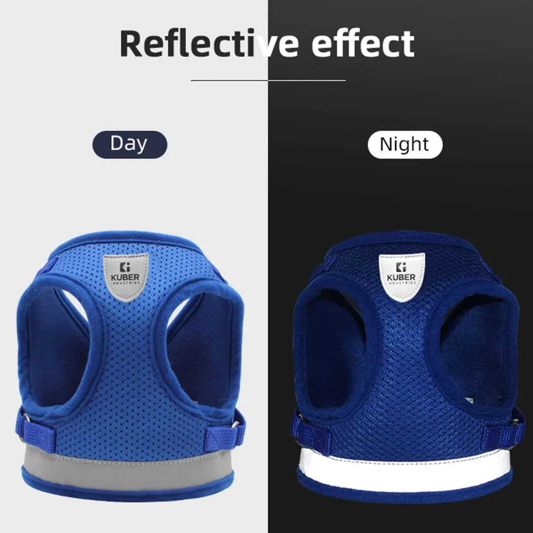 Urbane Home Reflective Dog Harness With Adjustable Leash|Breathable Polyester Mesh Fabric |XS Size|HT-844|Comfortable No-Pull Grip|Quick Release Buckles|Easy On - Easy Off Harness|Blue
