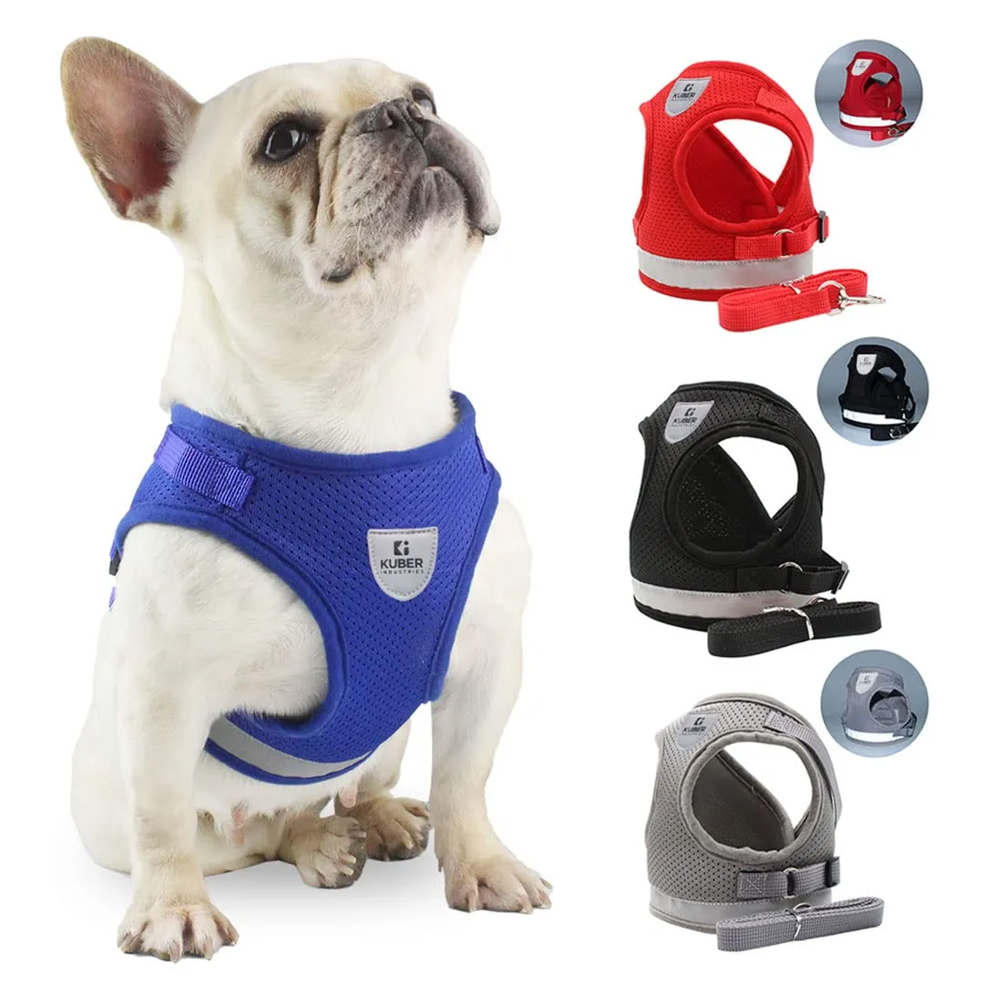 Urbane Home Reflective Dog Harness With Adjustable Leash|Breathable Polyester Mesh Fabric |XS Size|HT-844|Comfortable No-Pull Grip|Quick Release Buckles|Easy On - Easy Off Harness|Blue