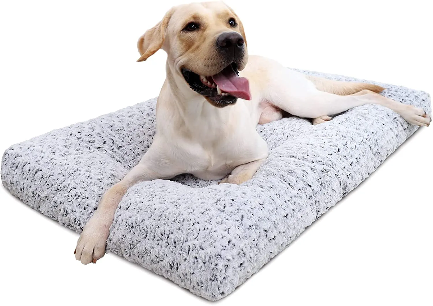 Washable Dog Bed