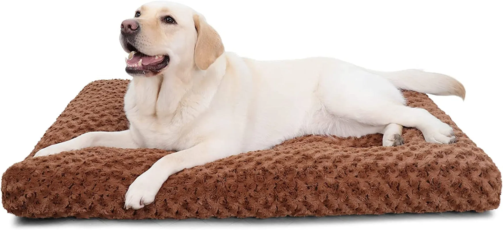 Washable Dog Bed